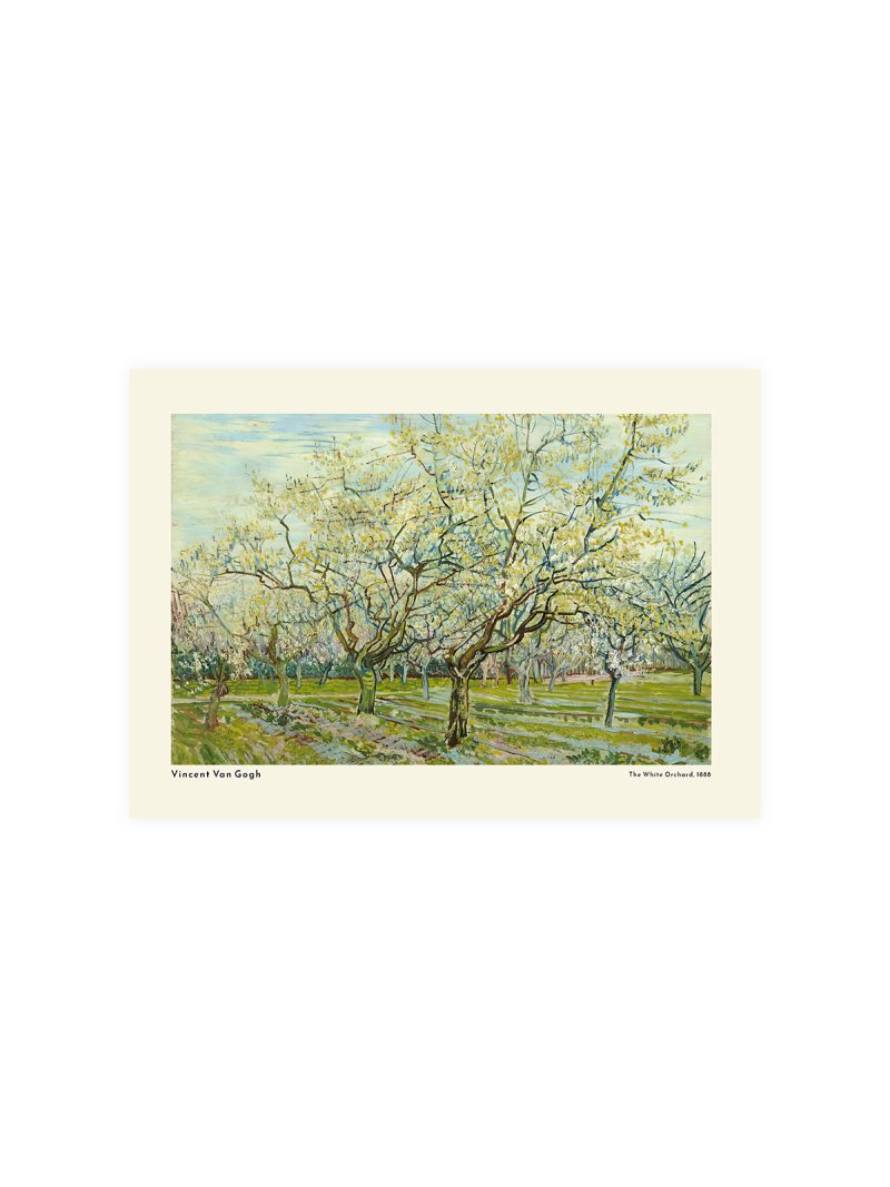 Van Gogh The White Orchard Tree Poster