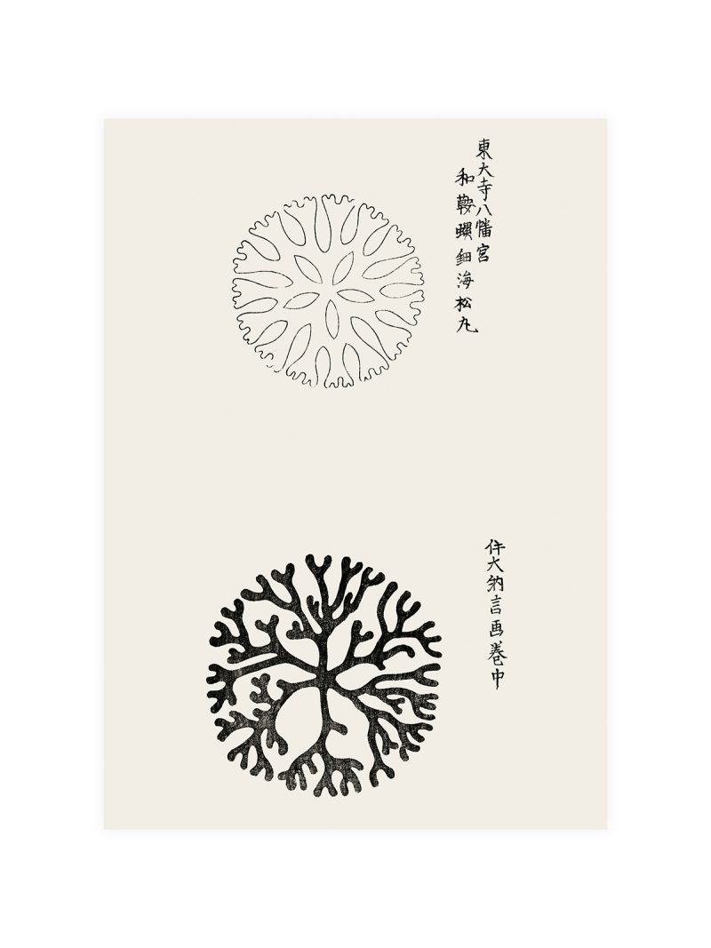 Taguchi Tomoki Woodblock IV Poster