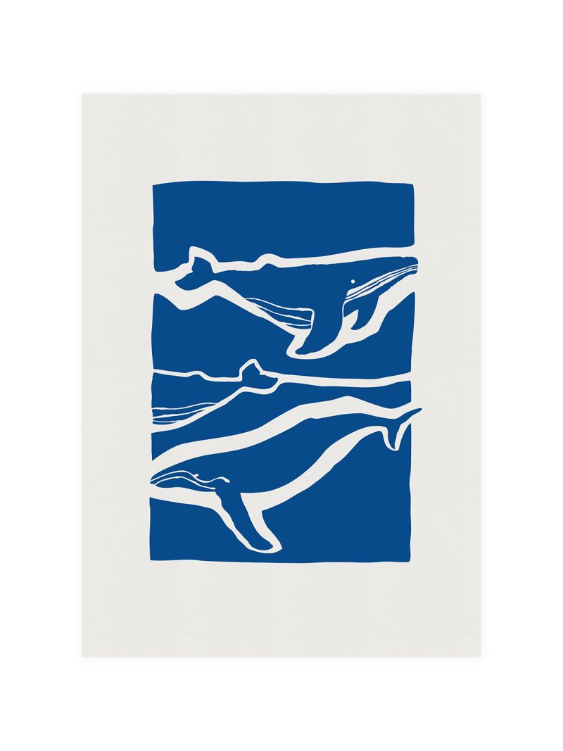 Whales Poster