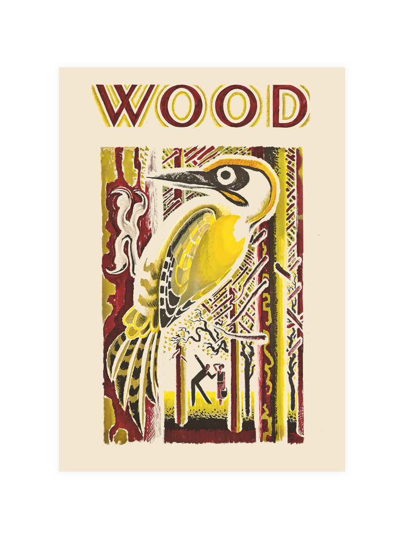Vintage Woodpecker Poster